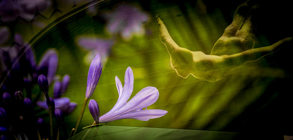 Platz 12 Juergen Bernd